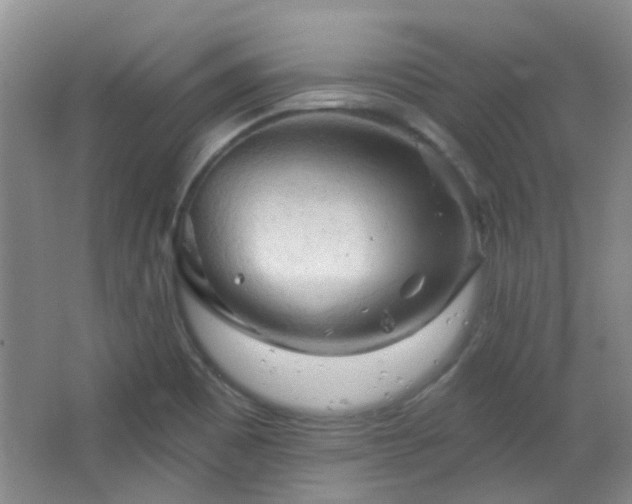 X0000066931465200603241103