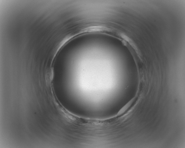 X0000066931473200603241103