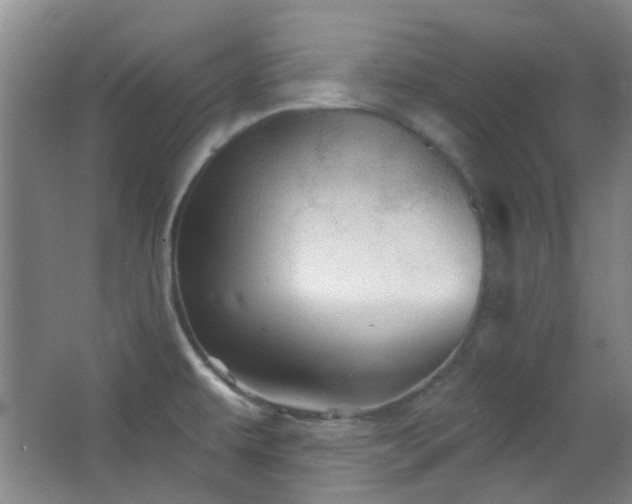 X0000066931479200603241103