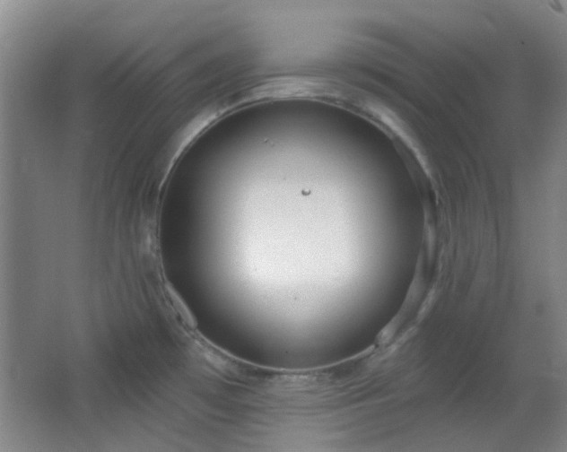 X0000066931481200603241103