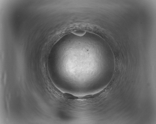 X0000066931489200603241102