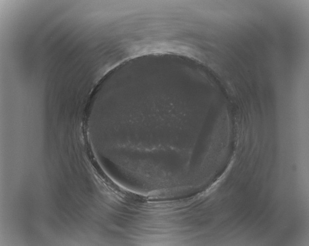 X0000066931497200603241102