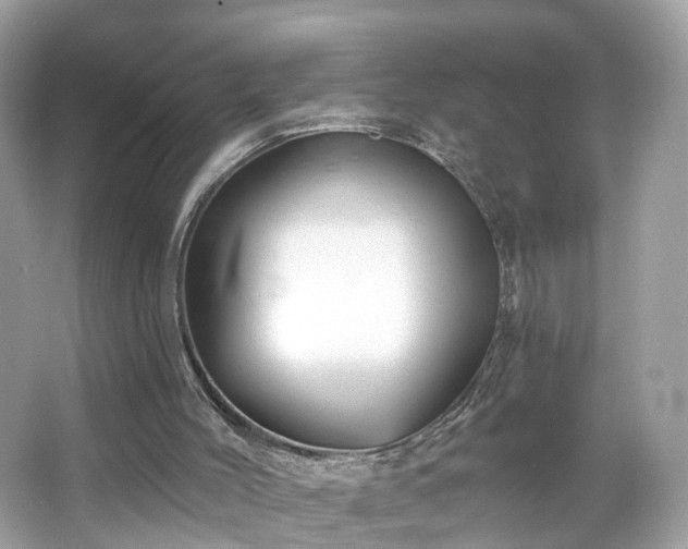 X0000066930004200603271123