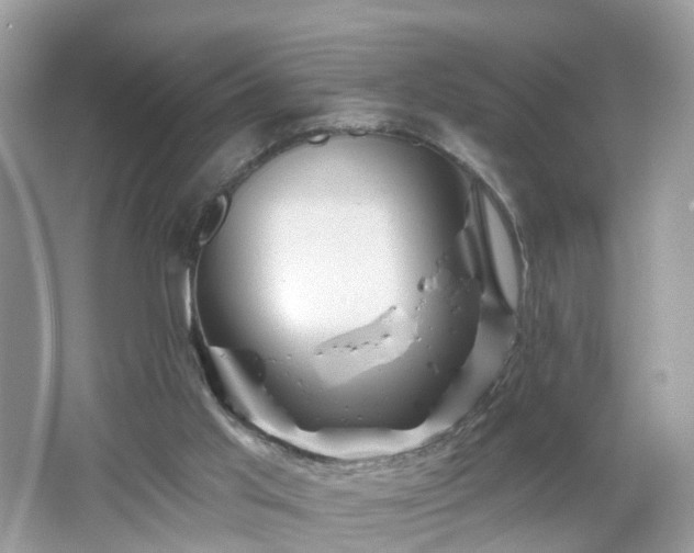 X0000066930013200603271123