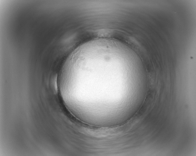 X0000066930028200603271123