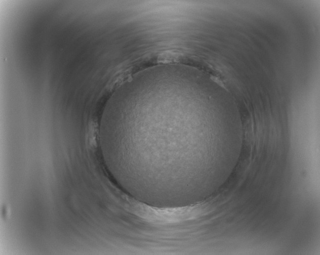 X0000066930038200603271122