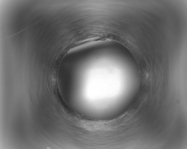 X0000066930040200603271122