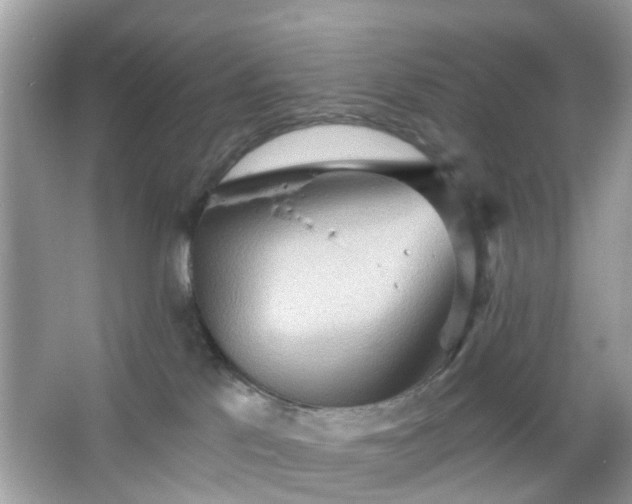 X0000066930041200603271122