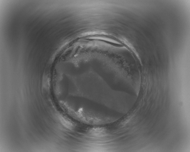 X0000066930063200603271122