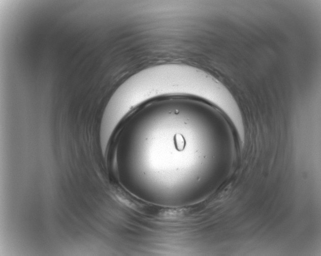 X0000066930084200603271122