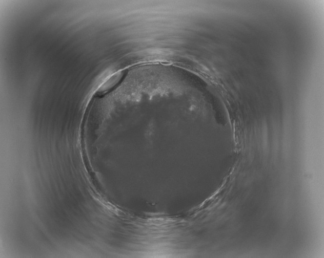 X0000066930099200603271121