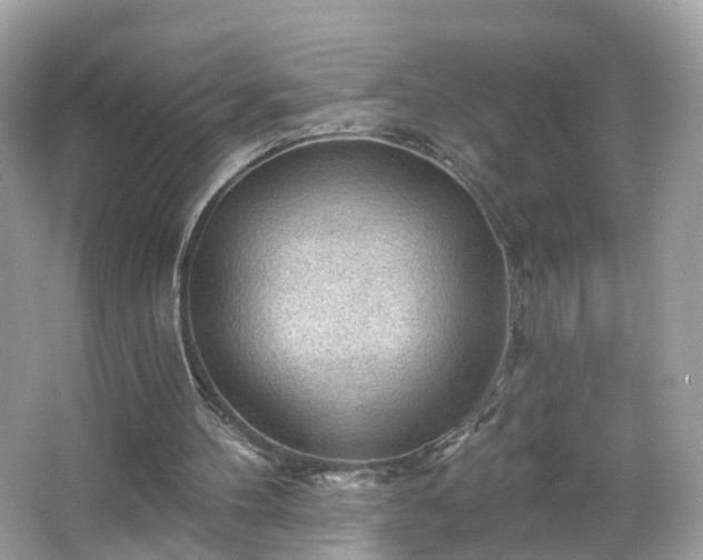X0000066930100200603271121