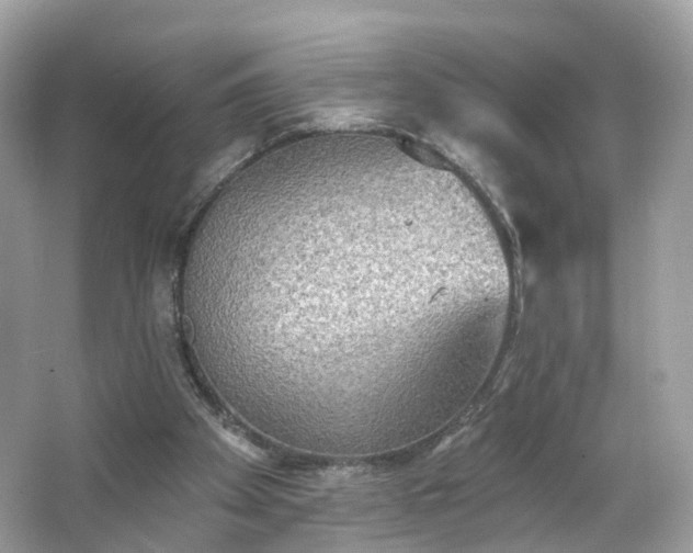 X0000066930105200603271121