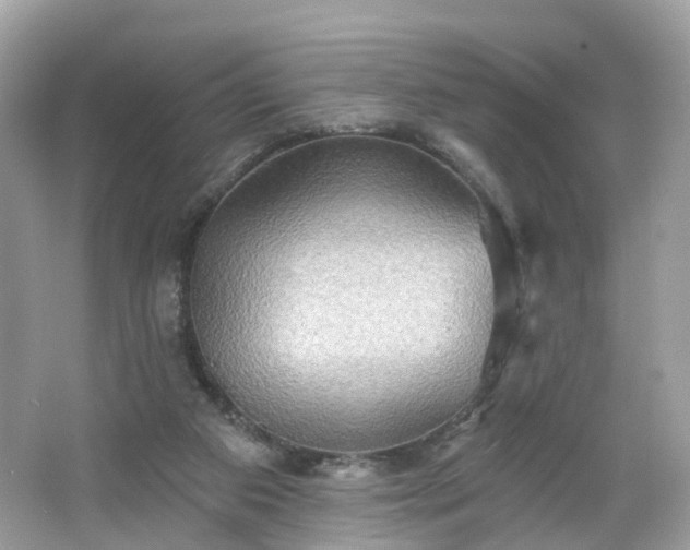X0000066930113200603271121