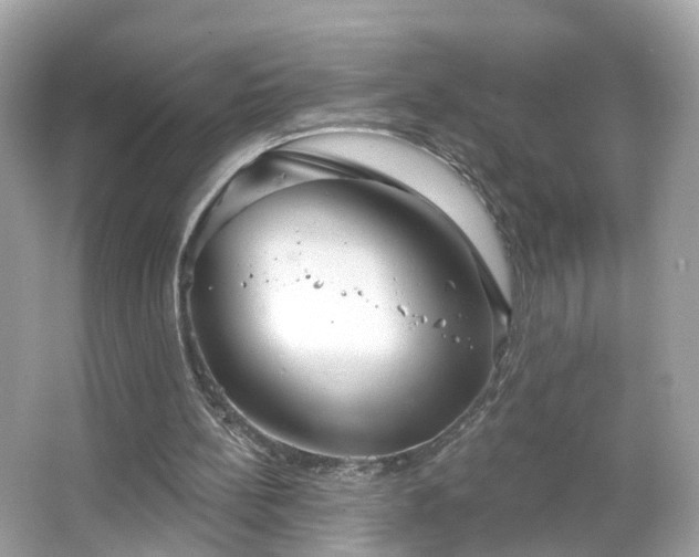 X0000066930148200603271120