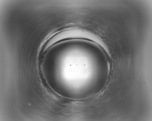 X0000066930150200603271120