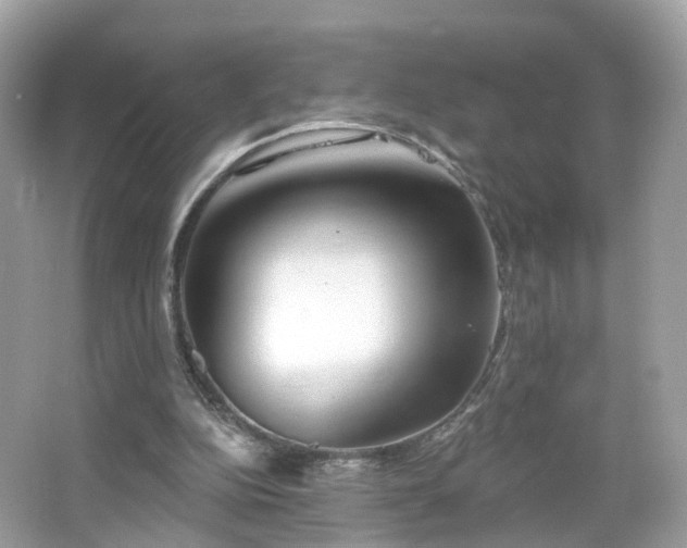 X0000066930152200603271120