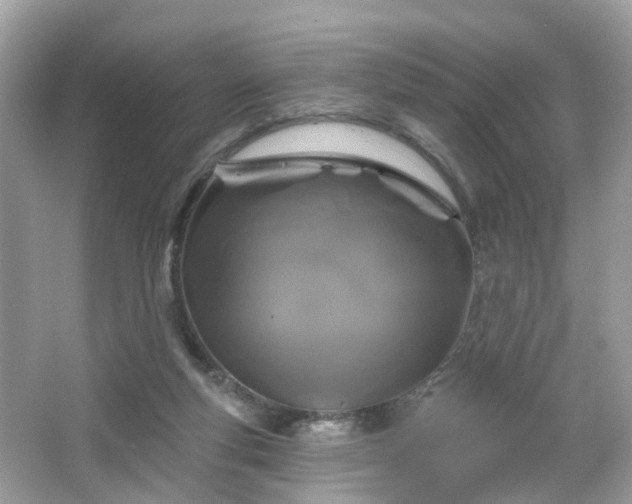 X0000066930163200603271120