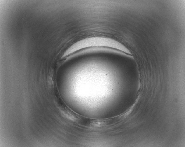 X0000066930174200603271120