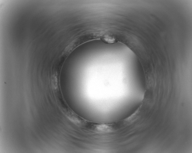 X0000066930183200603271120