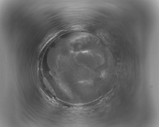 X0000066930194200603271120