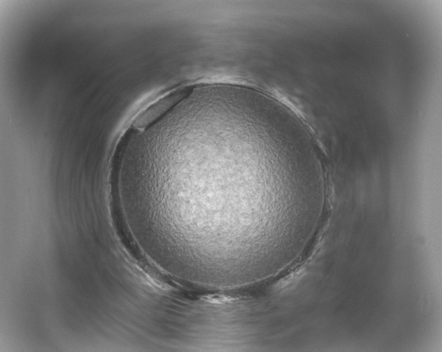 X0000066930199200603271120