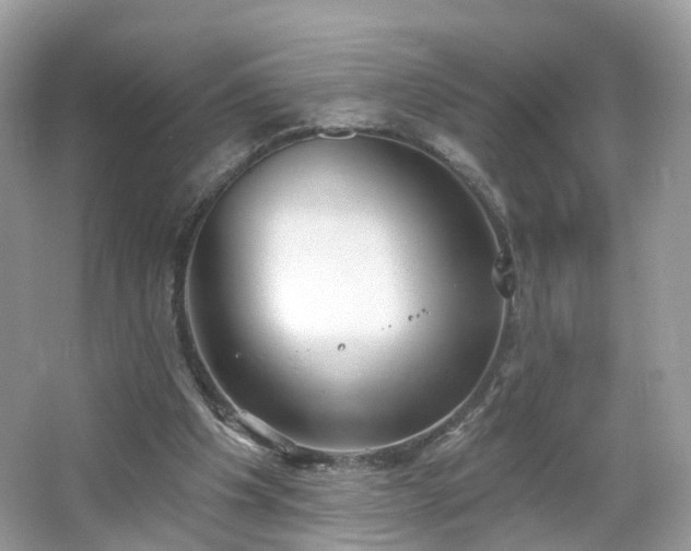 X0000066930201200603271120