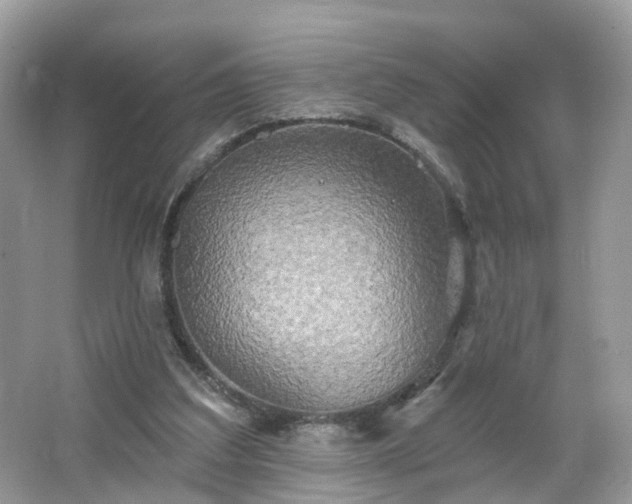 X0000066930203200603271120