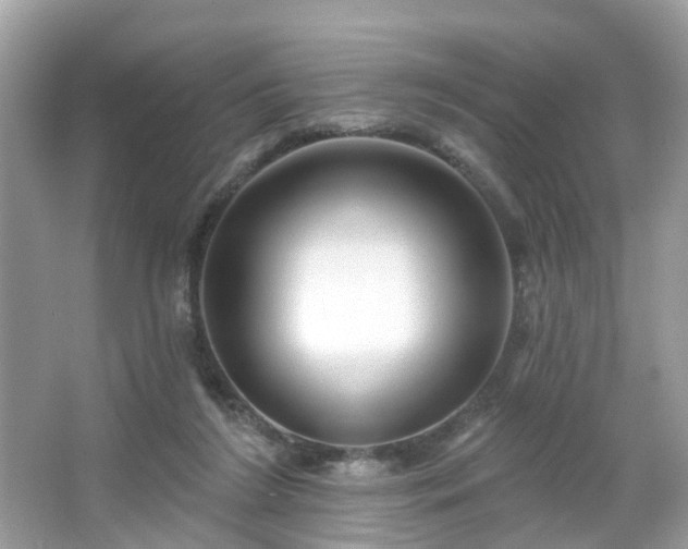X0000066930212200603271119