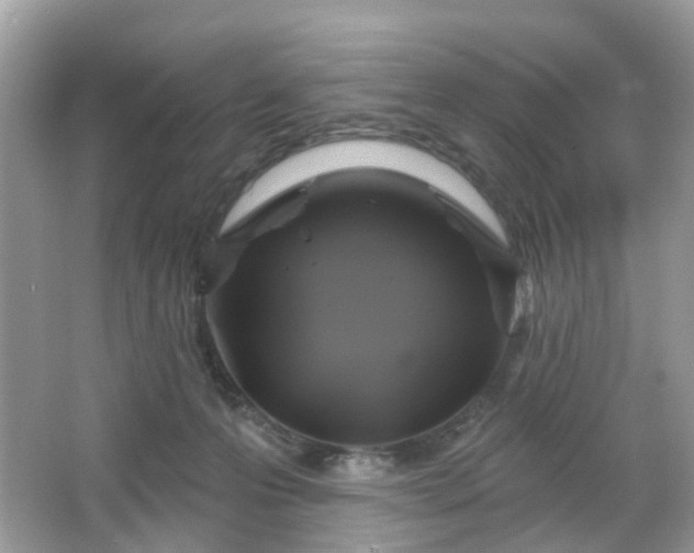 X0000066930223200603271119