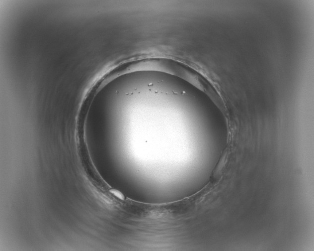 X0000066930248200603271118