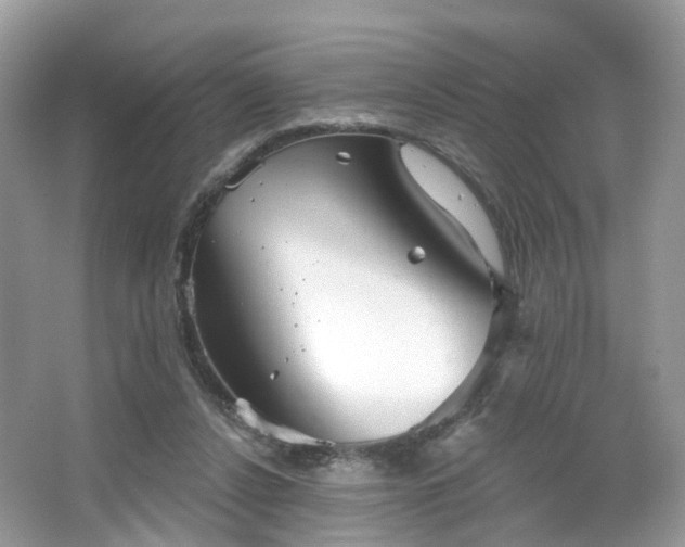 X0000066930256200603271118
