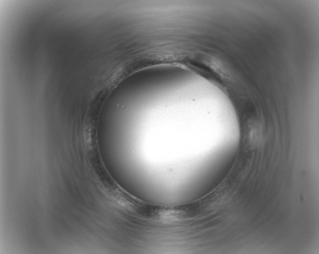 X0000066930268200603271119