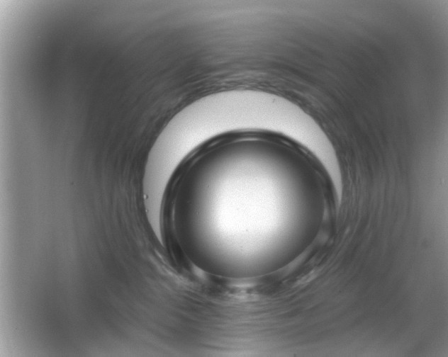 X0000066930284200603271119