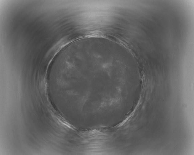 X0000066930290200603271118