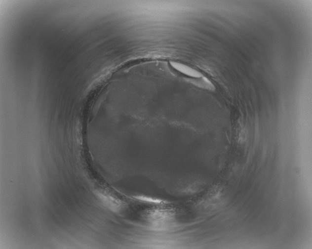 X0000066930303200603271118