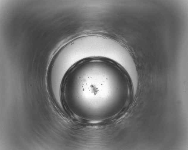 X0000066930340200603271117