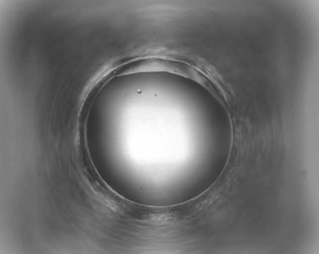 X0000066930344200603271117