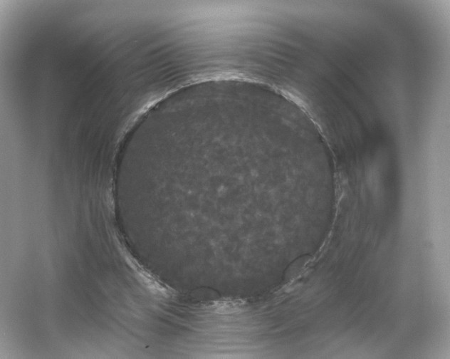 X0000066930345200603271117