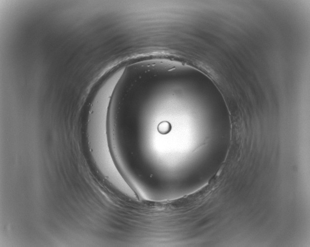 X0000066930350200603271117