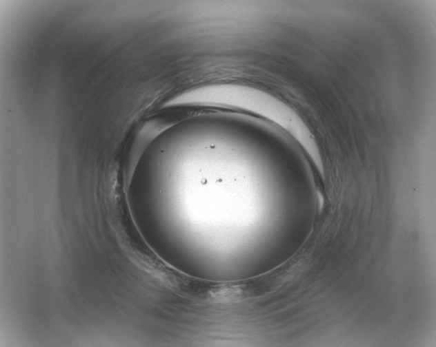 X0000066930362200603271117