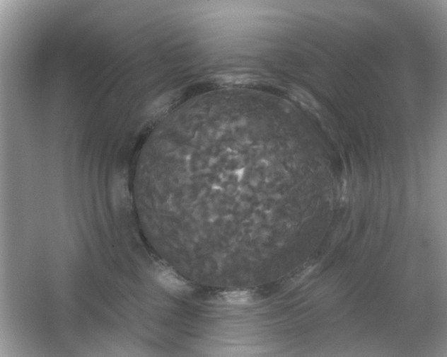 X0000066930377200603271117