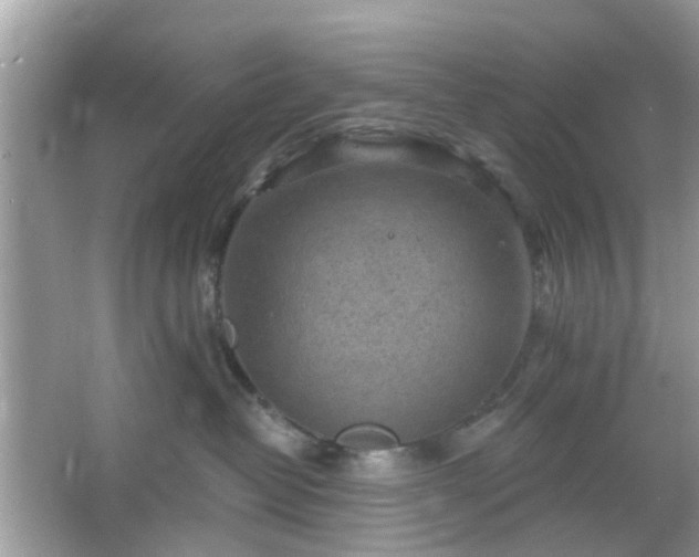 X0000066930382200603271117