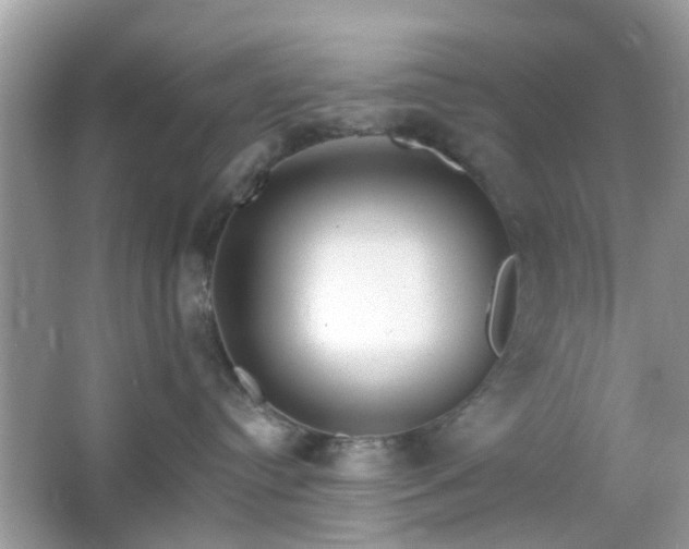 X0000066930384200603271117