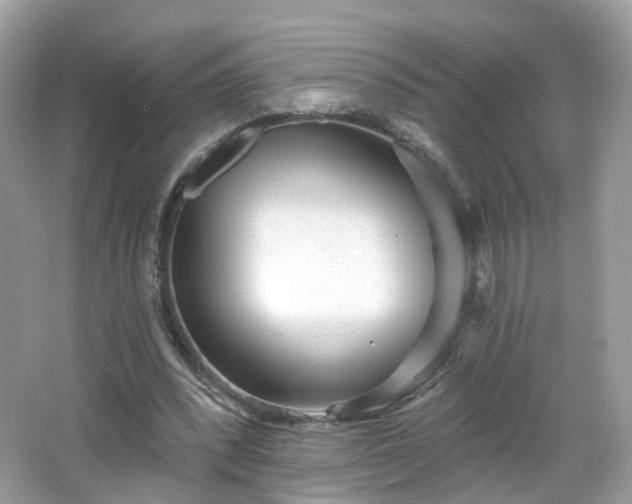 X0000066930392200603271116