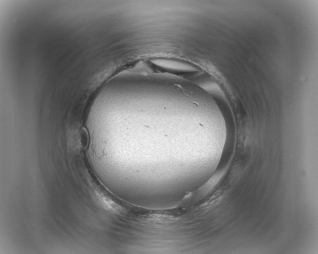 X0000066930393200603271116