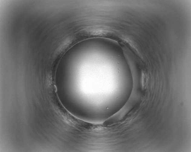 X0000066930407200603271116