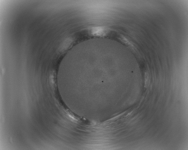 X0000066930424200603271116