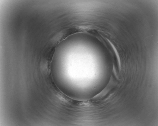 X0000066930428200603271116