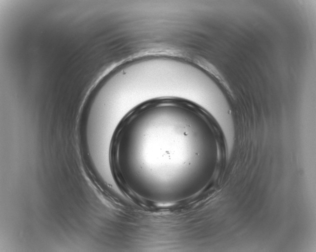 X0000066930436200603271115